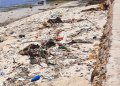 Beach Front Trash